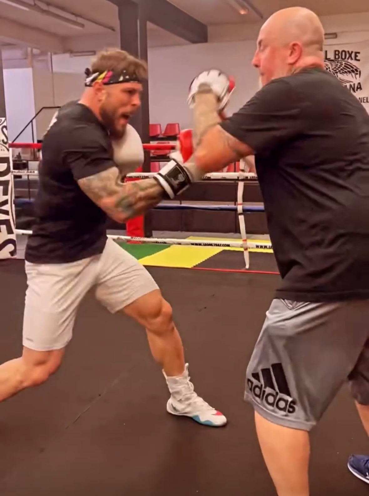 Bloody White Sparring Gloves