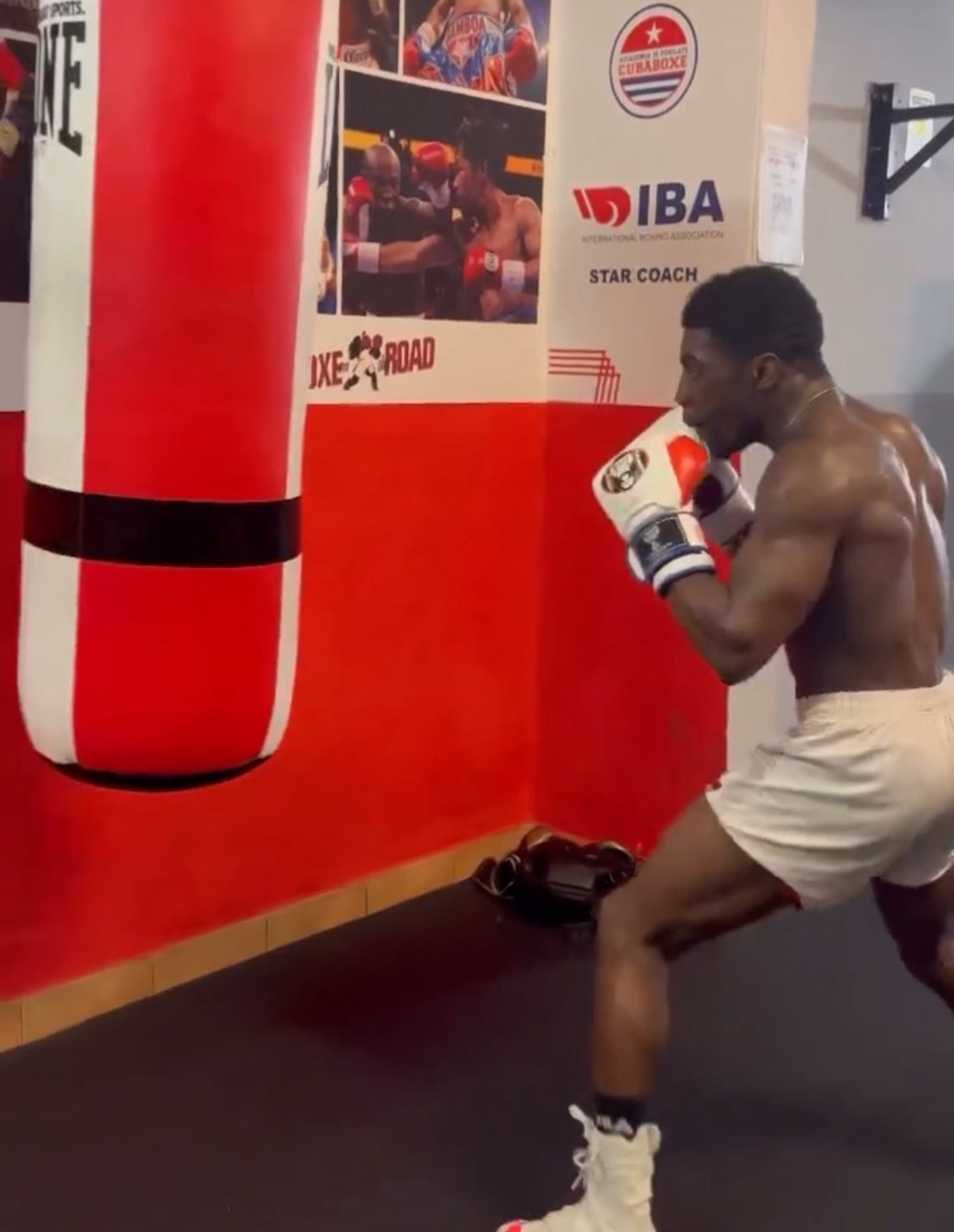 AK-47 White Bag Gloves